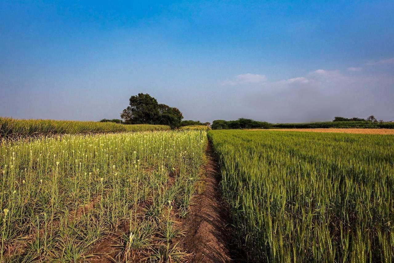 Saffronstays Happy Fields, Pune - Luxury Farmstay With Farm To Table Food Buitenkant foto